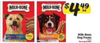 Winn Dixie Milk-Bone Dog Treats offer