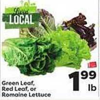 Weis Markets Green Leaf, Red Leaf, Or Romaine Lettuce offer