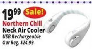 Ocean State Job Lot Neck Air Cooler offer