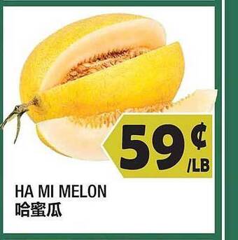 Ha Mi Melon