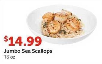 Fareway Jumbo Sea Scallops offer