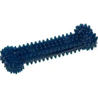 Theisen's Nylabone wolf dental dog small chew offer