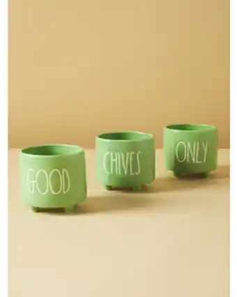 Home Goods 3pk good chives only planters offer