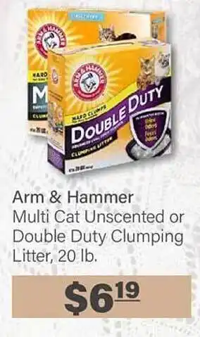 Commissary Arm & Hammer Mult Cat Unscented Or Doublel Duty Clumping Litter offer