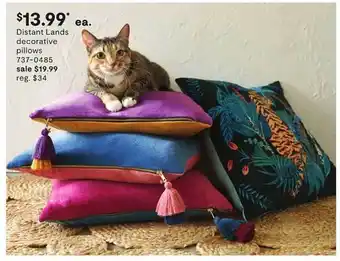 JC Penney Distant Lands Decorative Pillows offer