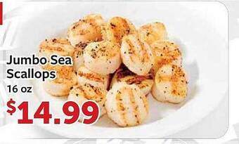 Fareway Jumbo Sea Scallops offer