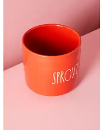 Home Goods 6in sprout ceramic planter offer