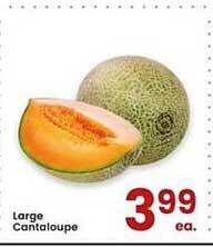 Albertsons Large Cantaloupe offer