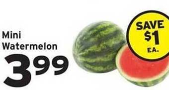 Hannaford Mini watermelon offer