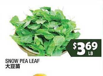 99 Ranch Snow pea leaf offer