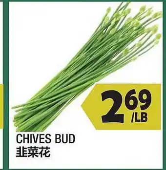 Chives bud