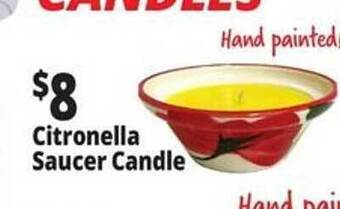 Ocean State Job Lot Citronella saucer candle offer