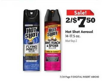 Family Dollar Hot shot aerosol offer