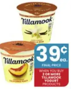 Albertsons 2 or More Tillamook Yogurt offer