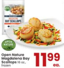 Albertsons Open Nature Magdalena Bay Scallops 16 Oz. offer