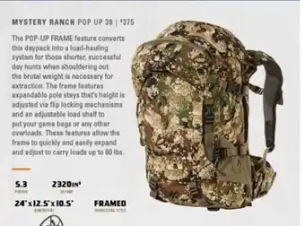 Scheels Mystery ranch pop up 38 offer
