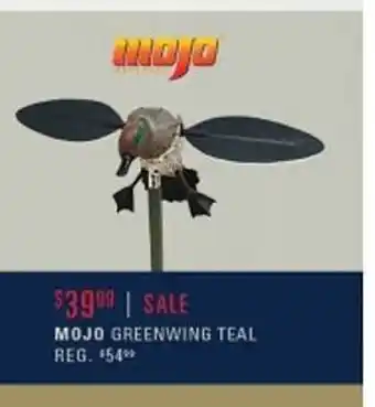 Mojo greenwing teal