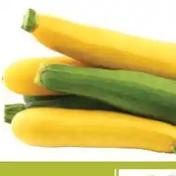 Roche Bros Zucchini squash offer