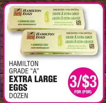 Hamilton Extra Large Eggs