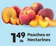 Save a Lot Peaches or nectarines offer