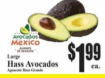 Baja Ranch Large hass avocados offer