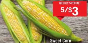 Sweet Corn