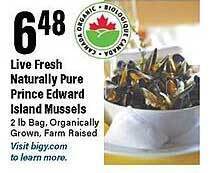 Live fresh naturally pure prince edward island mussels