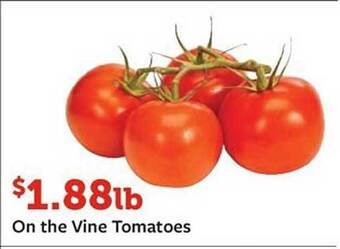 Fareway On the vine tomatoes offer