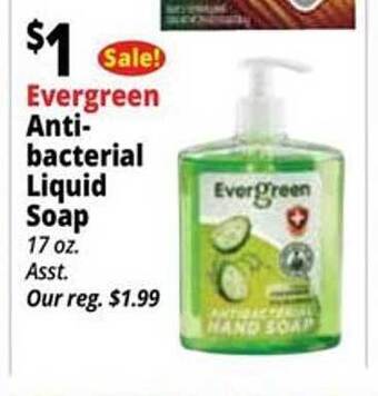 Ocean State Job Lot Evergreen anti-bacterial liquid soap offer