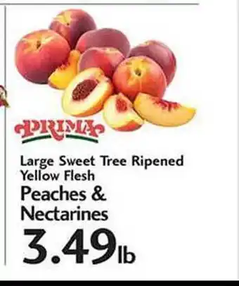 Sunset Foods Large sweet tree ripened yellow flesh peach & nectarines offer