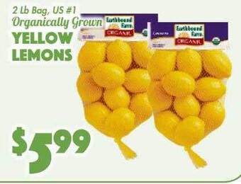 The Food Emporium Yellow lemons offer