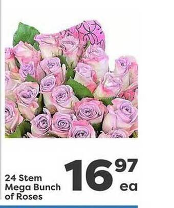 Weis Markets 24 stem mega bunch of roses offer