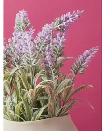 Home Goods 13in artificial lavender arrangement in ceramic pot offer