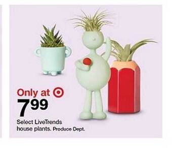 Target Livetrends house plants offer