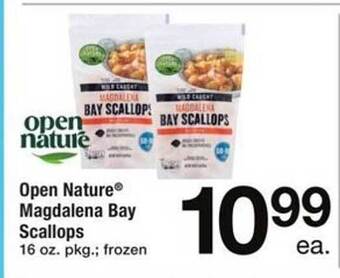 ACME Open nature magdalena bay scallops offer