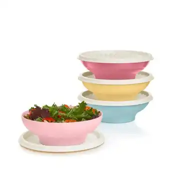 Tupperware Vintage 4-piece bowl set offer