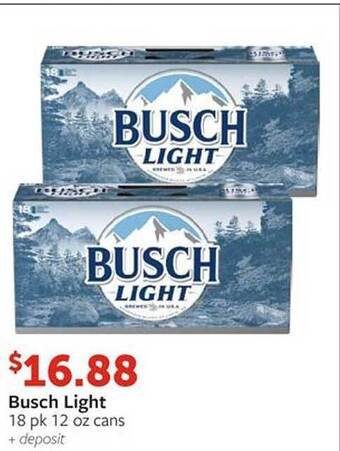Fareway Busch light offer