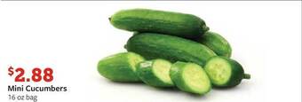 Fareway Mini cucumbers offer