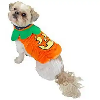 Kohl's Woof jack-o'-lantern pumpkin dog costume offer