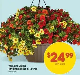 Fred Meyer Premium Mixed Hanging Basket In 12" Pot offer