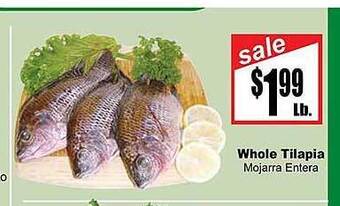 Rancho Markets Whole tilapia offer