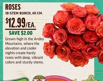 Central Market Roses offer
