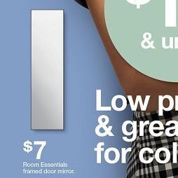 Target Framed door mirror offer