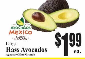 Baja Ranch Large hass avocados offer