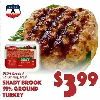 The Food Emporium Usda grade a 16 oz pkg, fresh shady brook 93% ground turkey offer