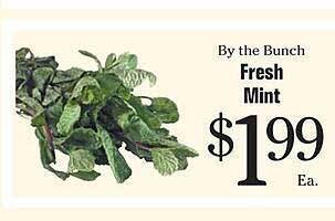 Morton Williams Fresh mint offer