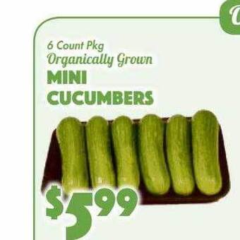 The Food Emporium Mini cucumbers offer