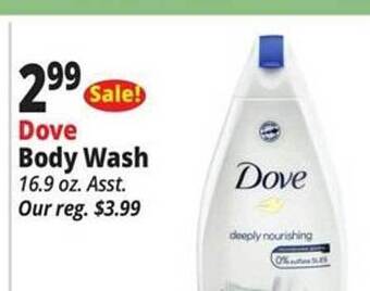 Ocean State Job Lot Dove body wash offer