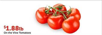 Fareway On the vine tomatoes offer