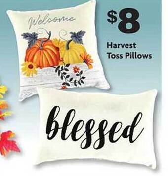Family Dollar Harvest toss pillows offer